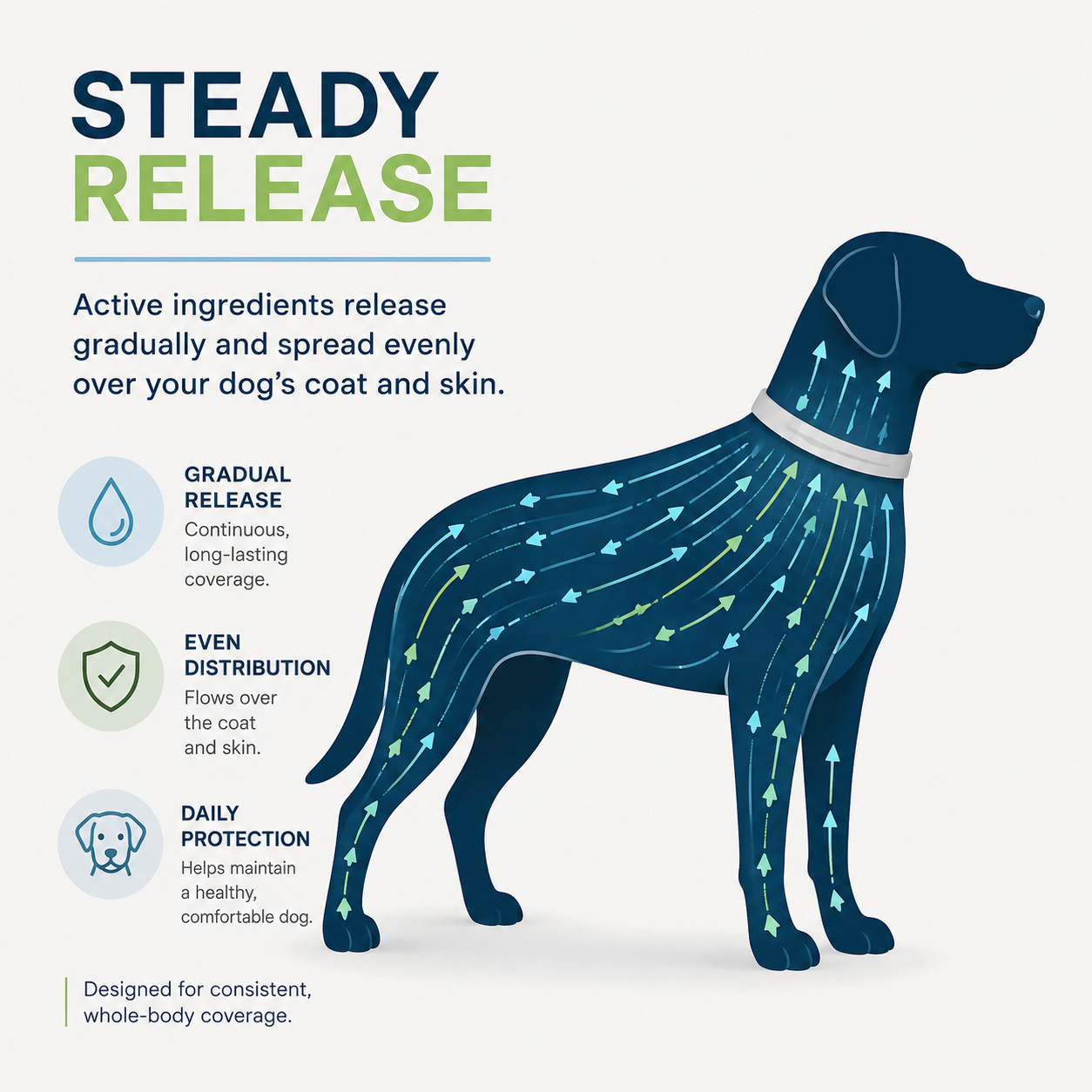 Plant-Based Flea & Tick Collar – Up to 8 Months of Protection