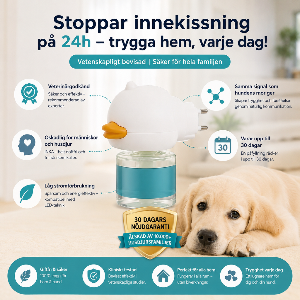 Forvandle hundens inne-urinering, bjeffing og angst – raskt, enkelt og skånsomt!