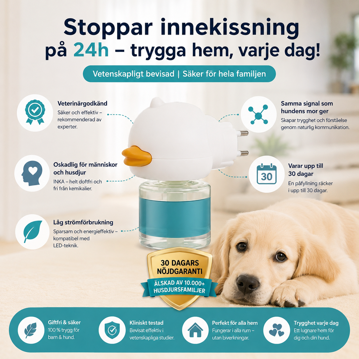 Forvandle hundens inne-urinering, bjeffing og angst – raskt, enkelt og skånsomt!